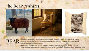 The Bear Cushion – Irish Wool from County Clare